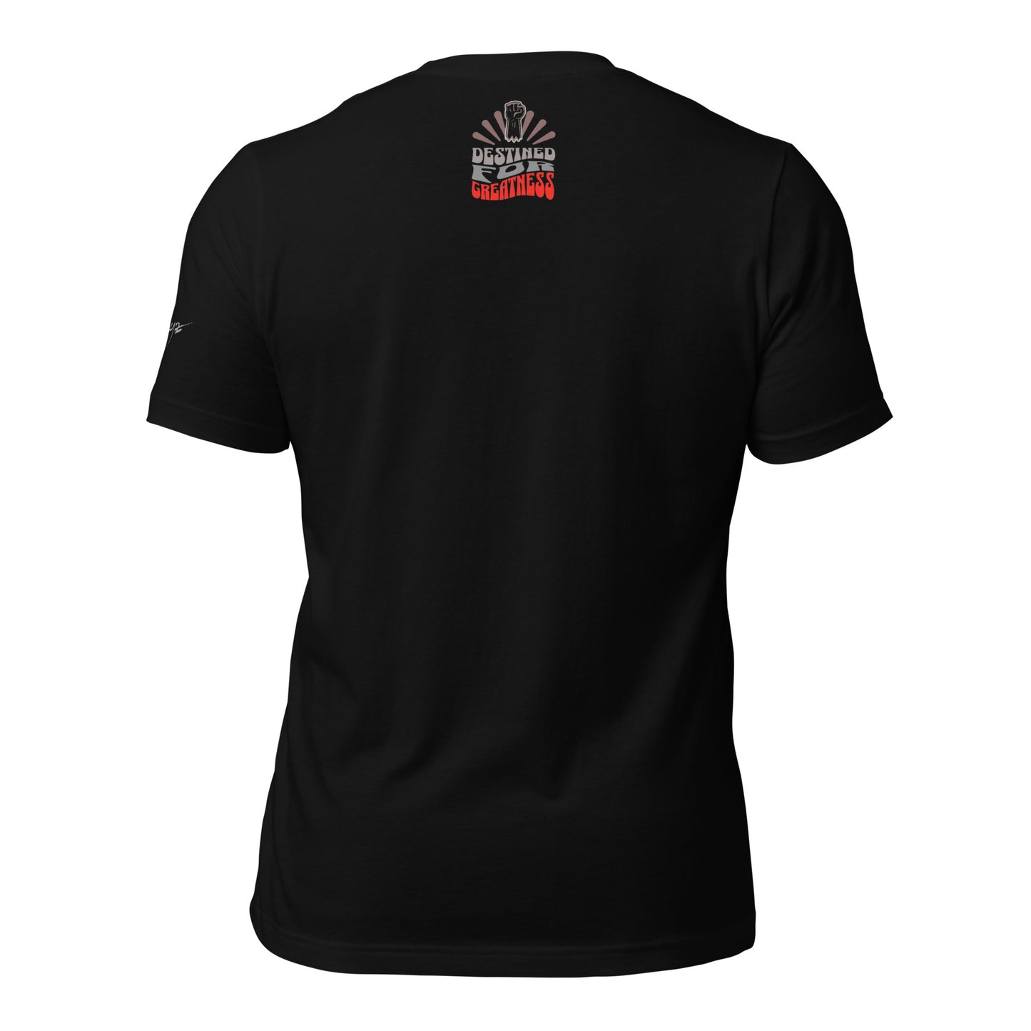 EvJayz Destined For Greatness Premium Unisex t-shirt