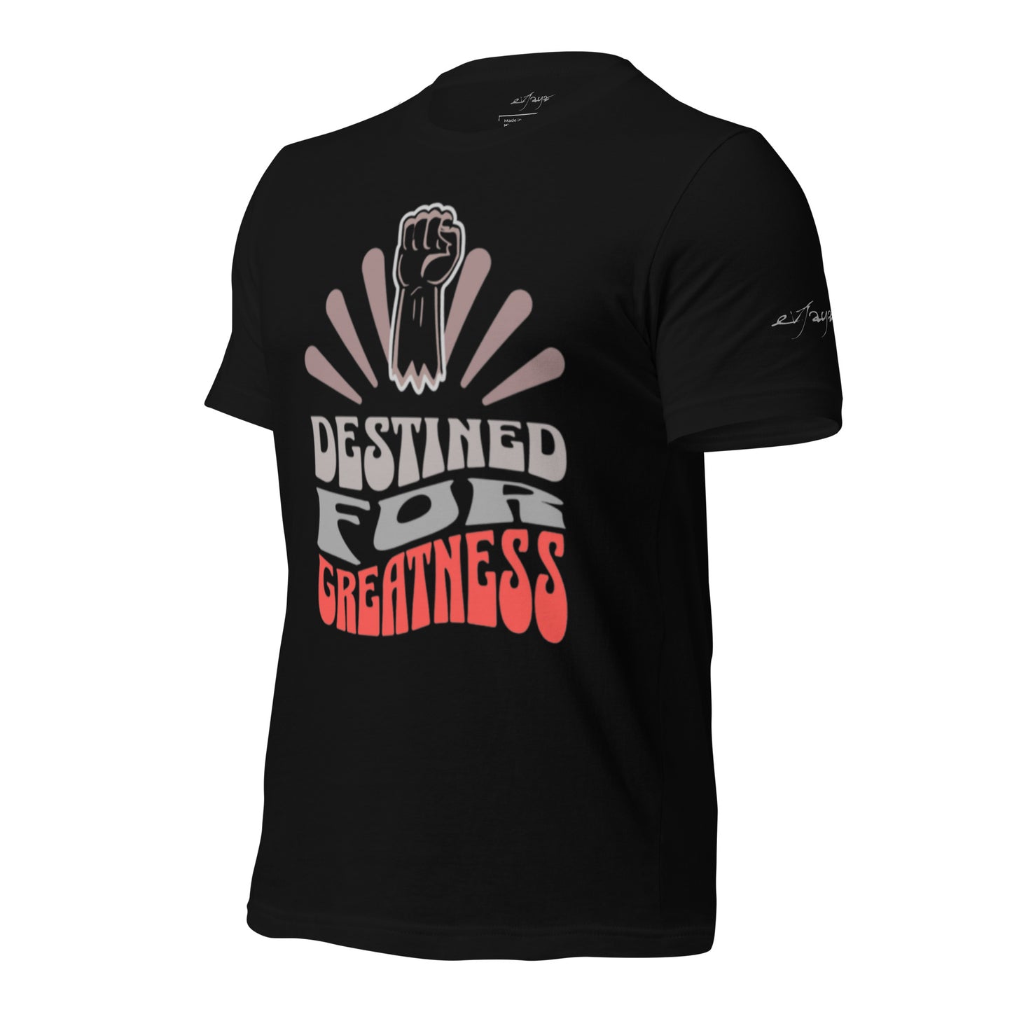 EvJayz Destined For Greatness Premium Unisex t-shirt