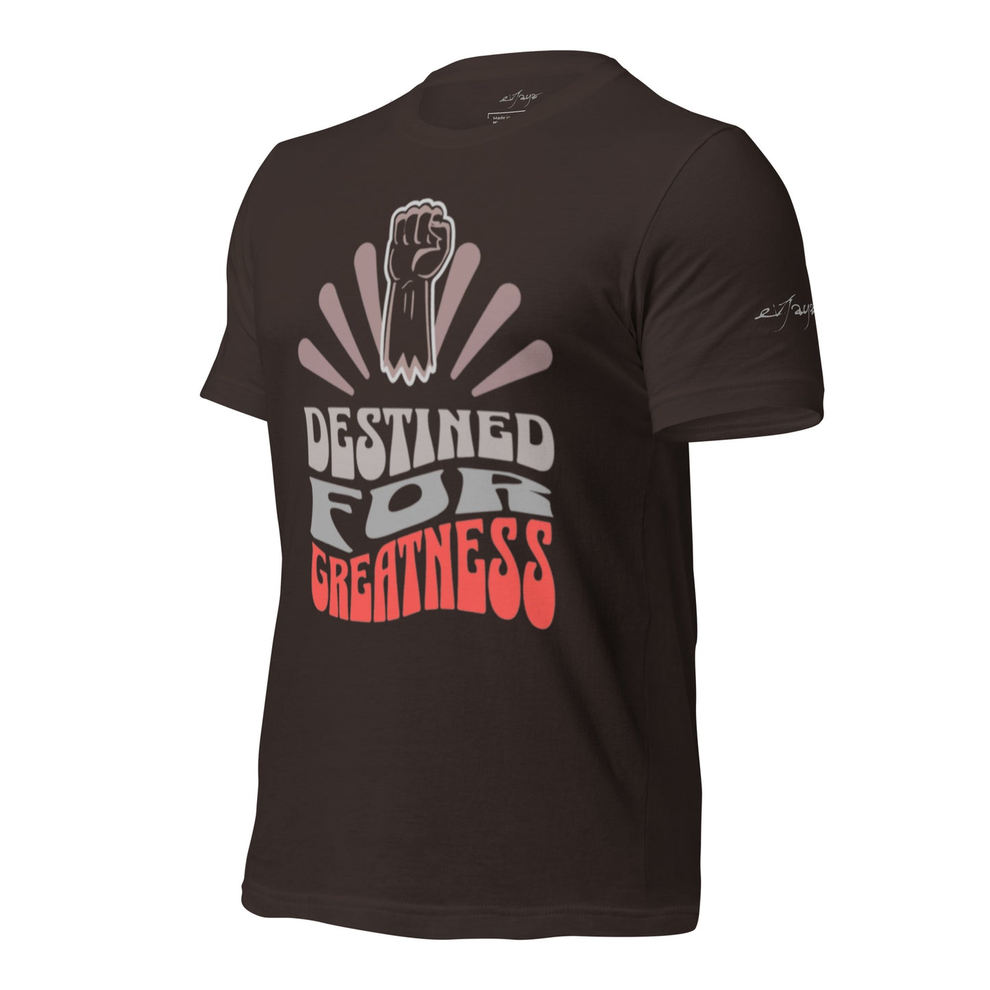 EvJayz Destined For Greatness Premium Unisex t-shirt