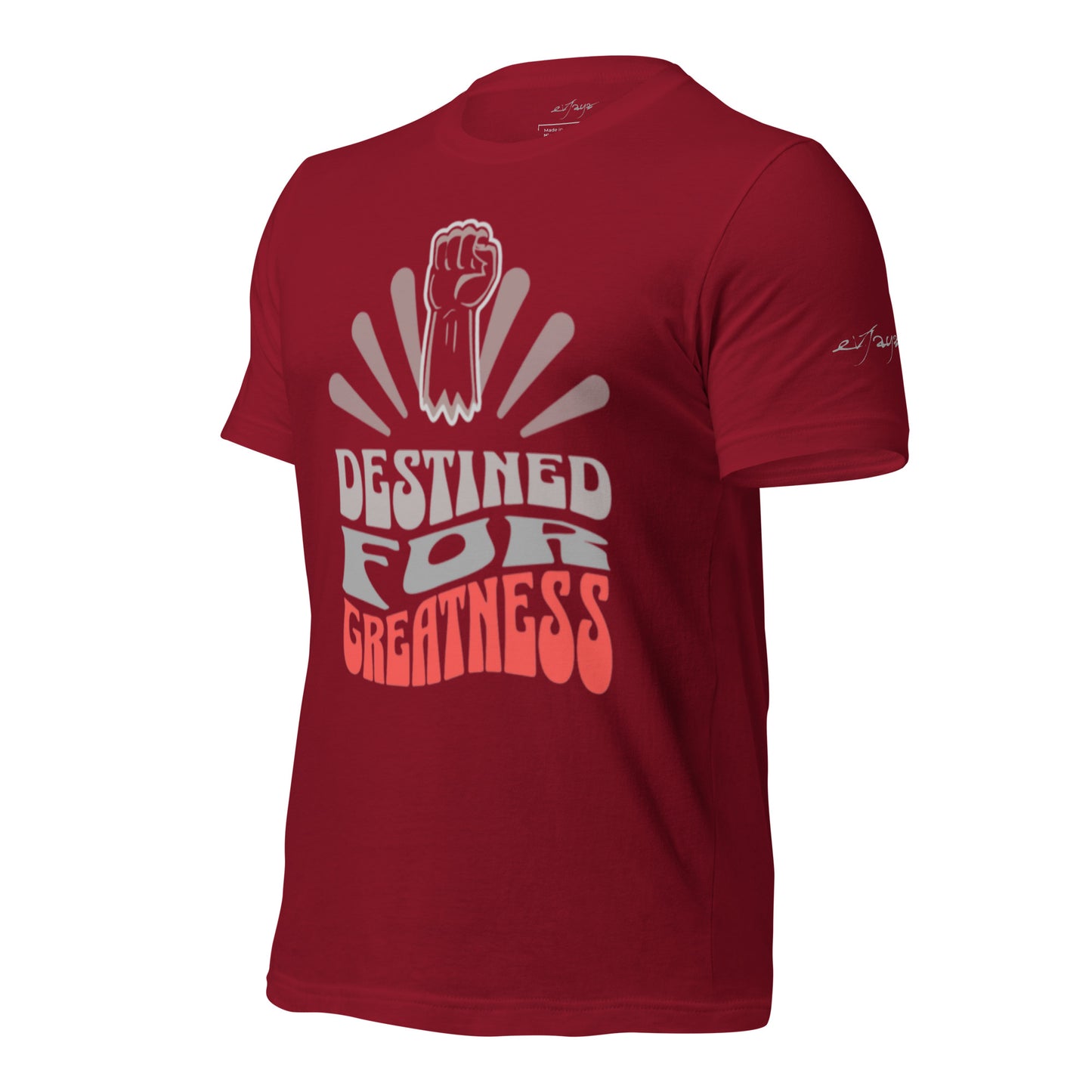 EvJayz Destined For Greatness Premium Unisex t-shirt