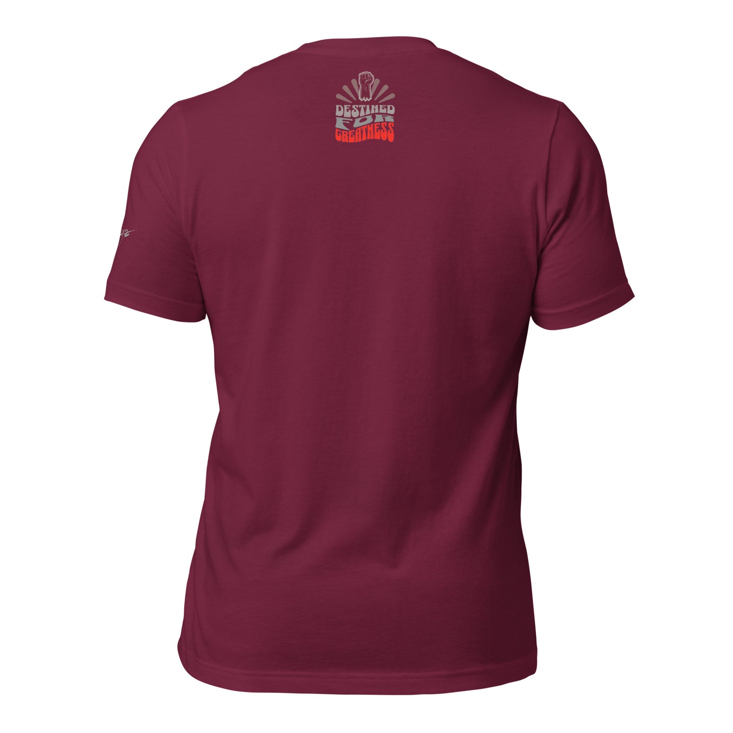 EvJayz Destined For Greatness Premium Unisex t-shirt
