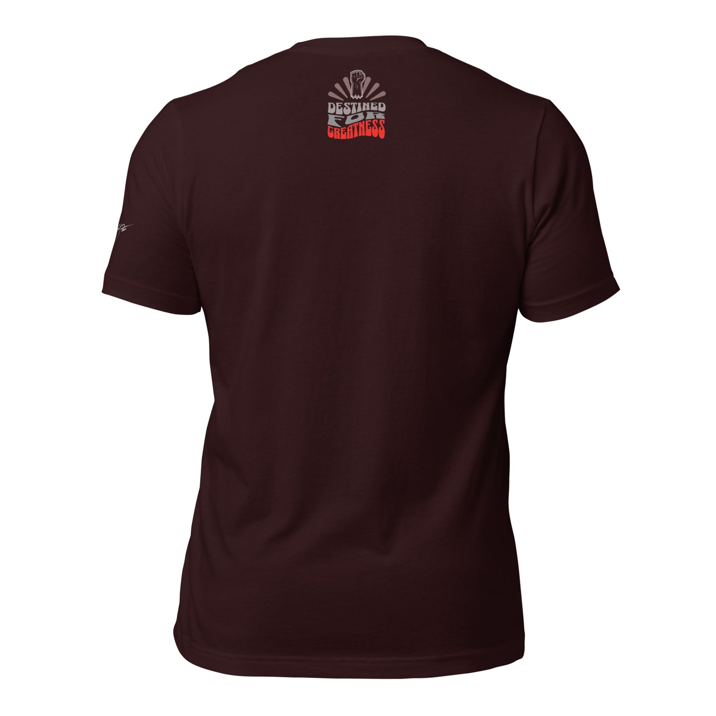 EvJayz Destined For Greatness Premium Unisex t-shirt