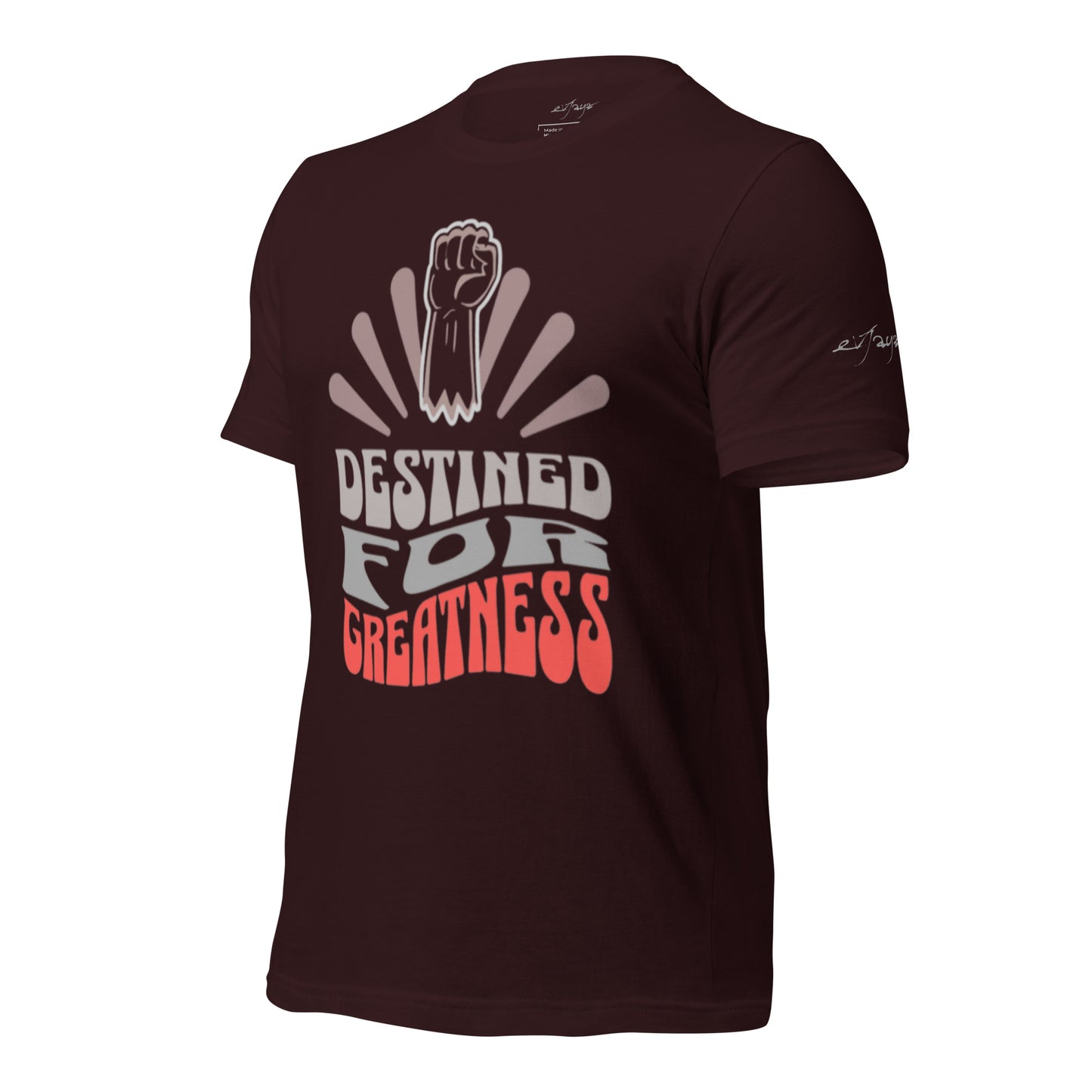 EvJayz Destined For Greatness Premium Unisex t-shirt