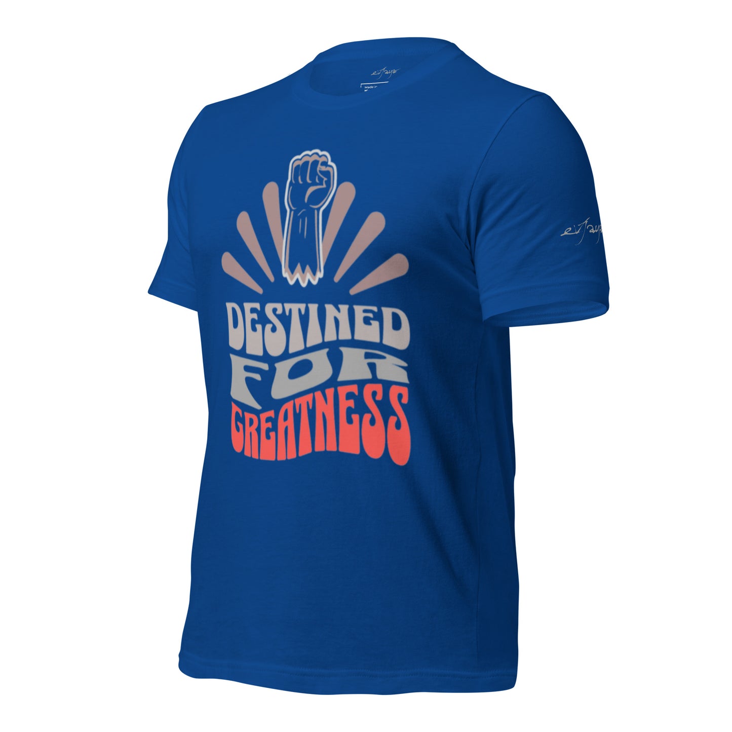 EvJayz Destined For Greatness Premium Unisex t-shirt