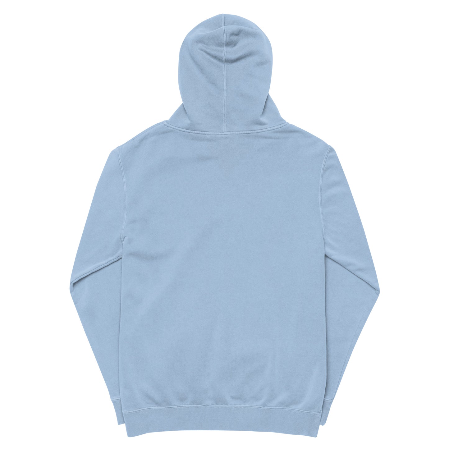 EvJayz Premium Unisex pigment-dyed hoodie
