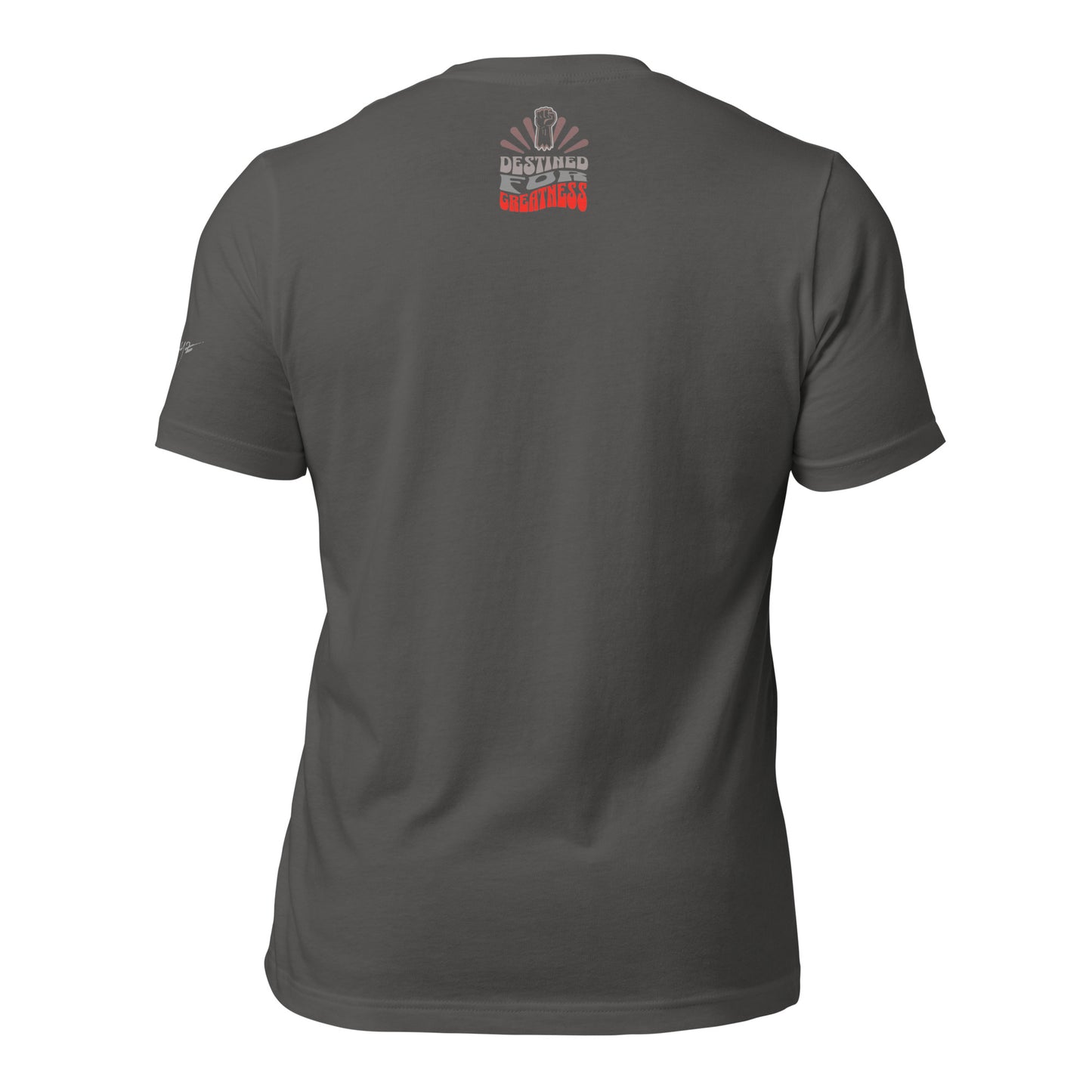 EvJayz Destined For Greatness Premium Unisex t-shirt