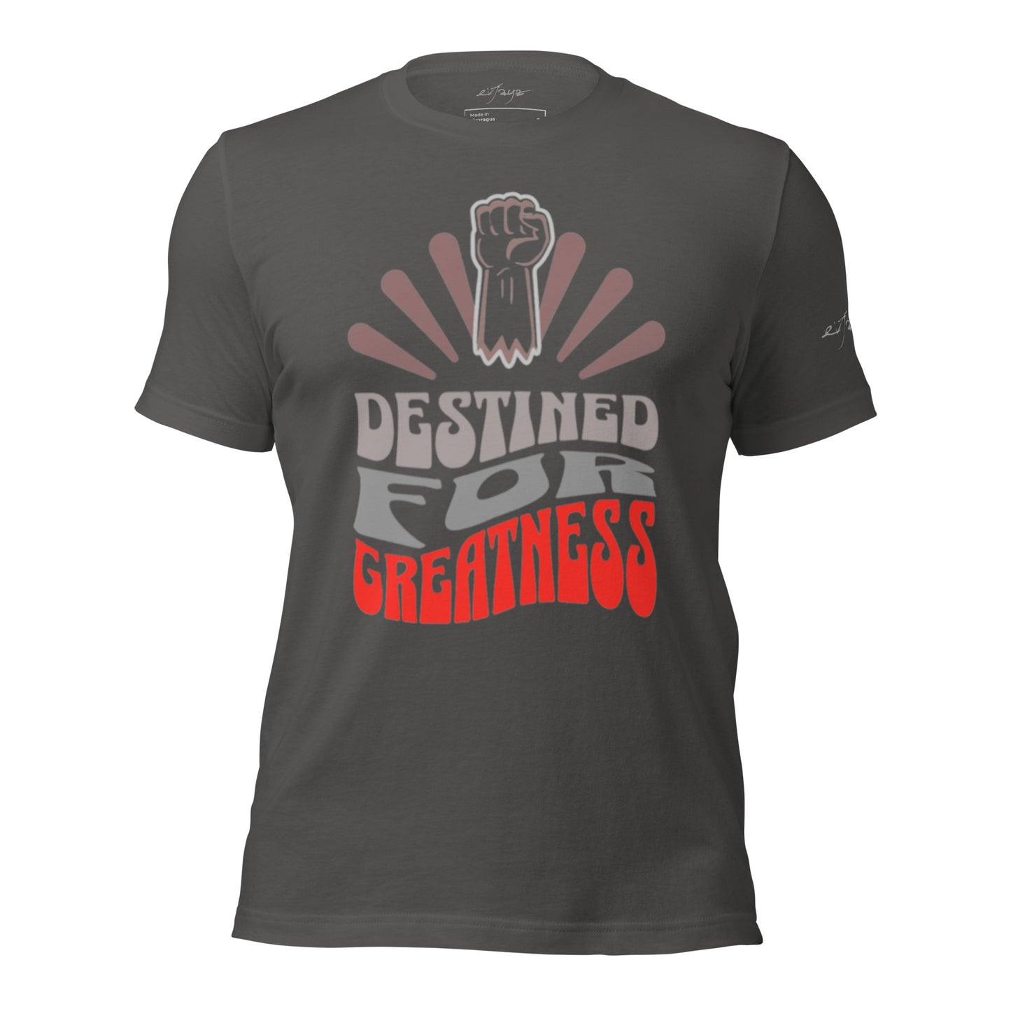 EvJayz Destined For Greatness Premium Unisex t-shirt