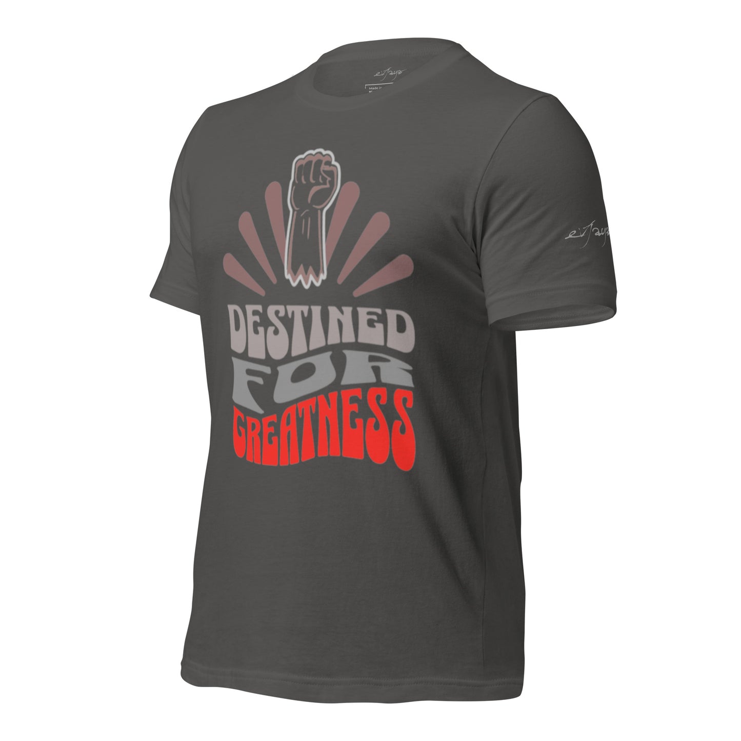 EvJayz Destined For Greatness Premium Unisex t-shirt