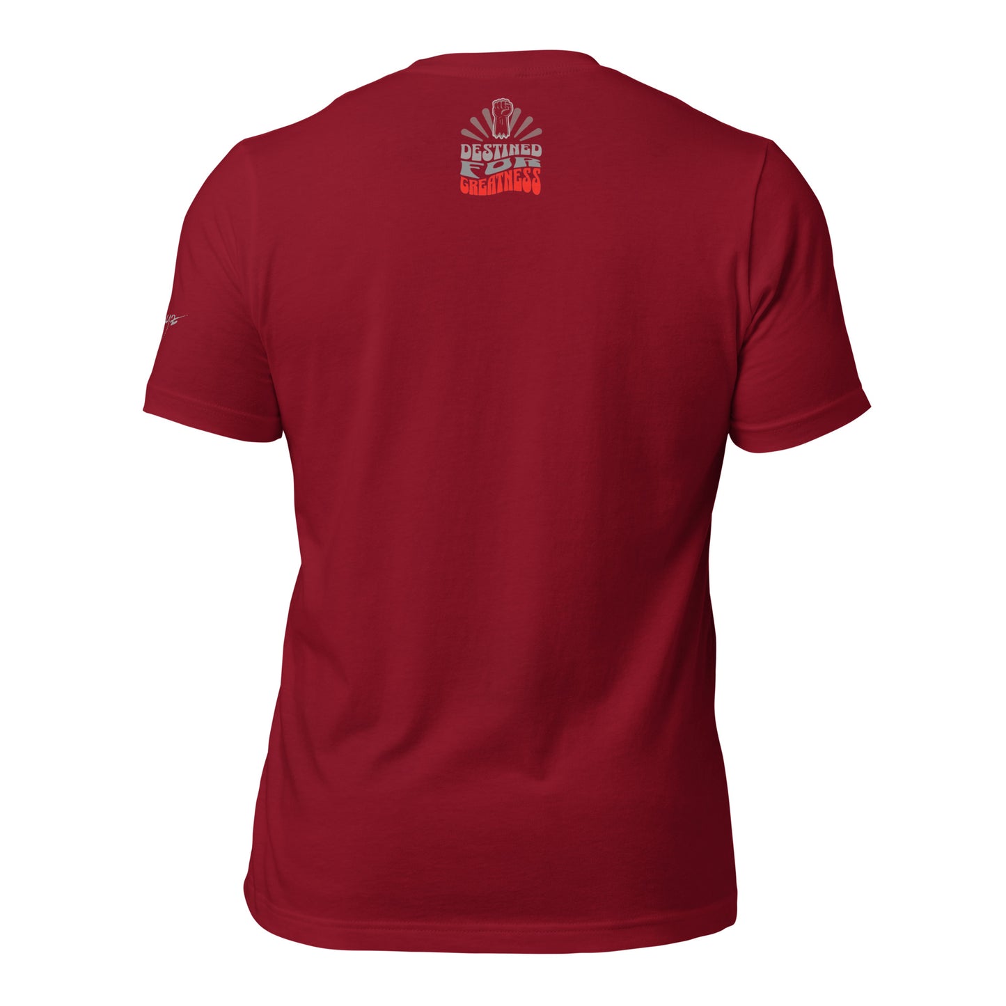 EvJayz Destined For Greatness Premium Unisex t-shirt