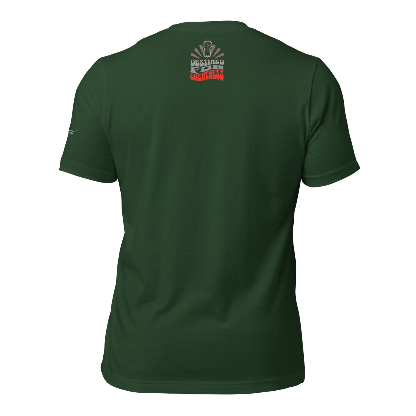 EvJayz Destined For Greatness Premium Unisex t-shirt