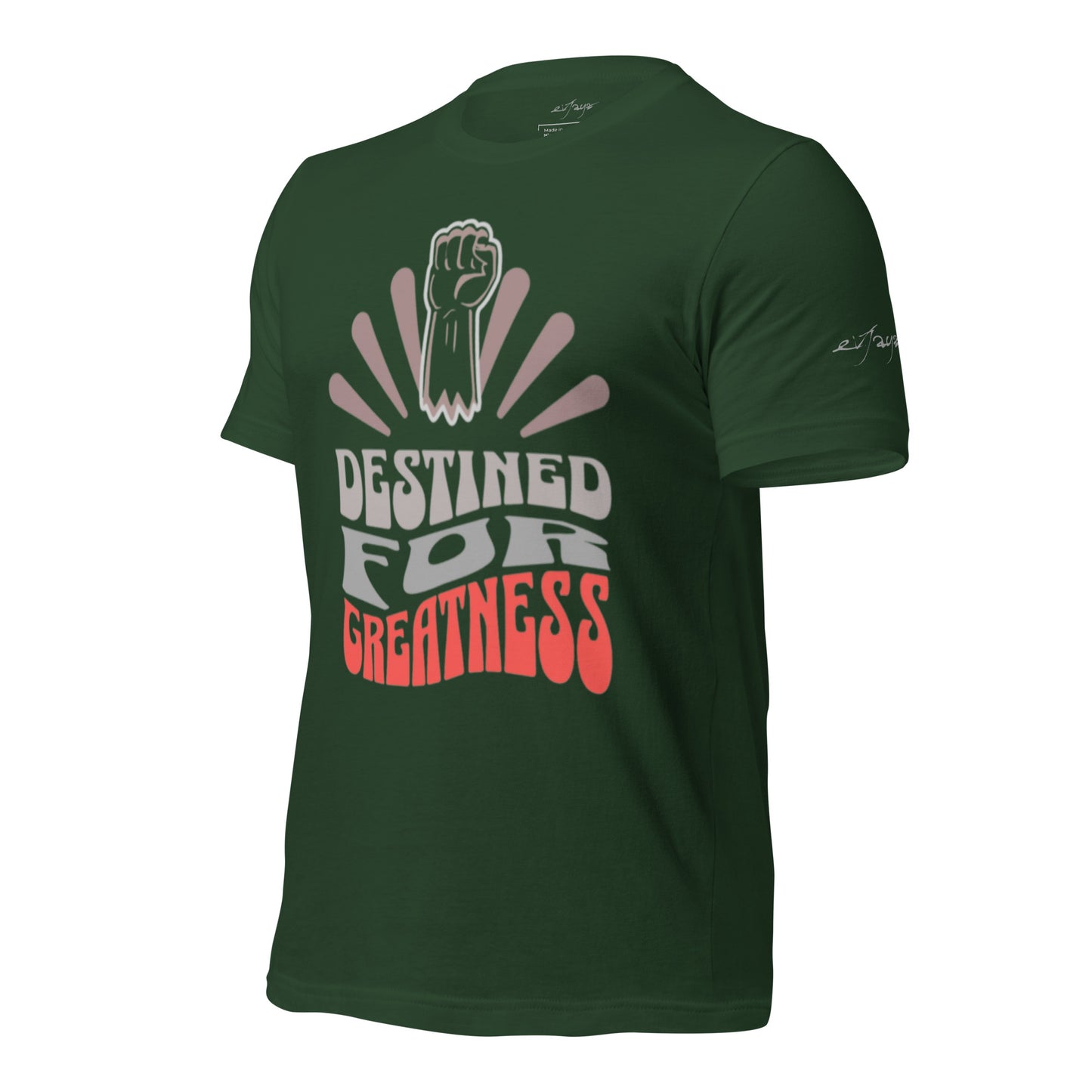 EvJayz Destined For Greatness Premium Unisex t-shirt