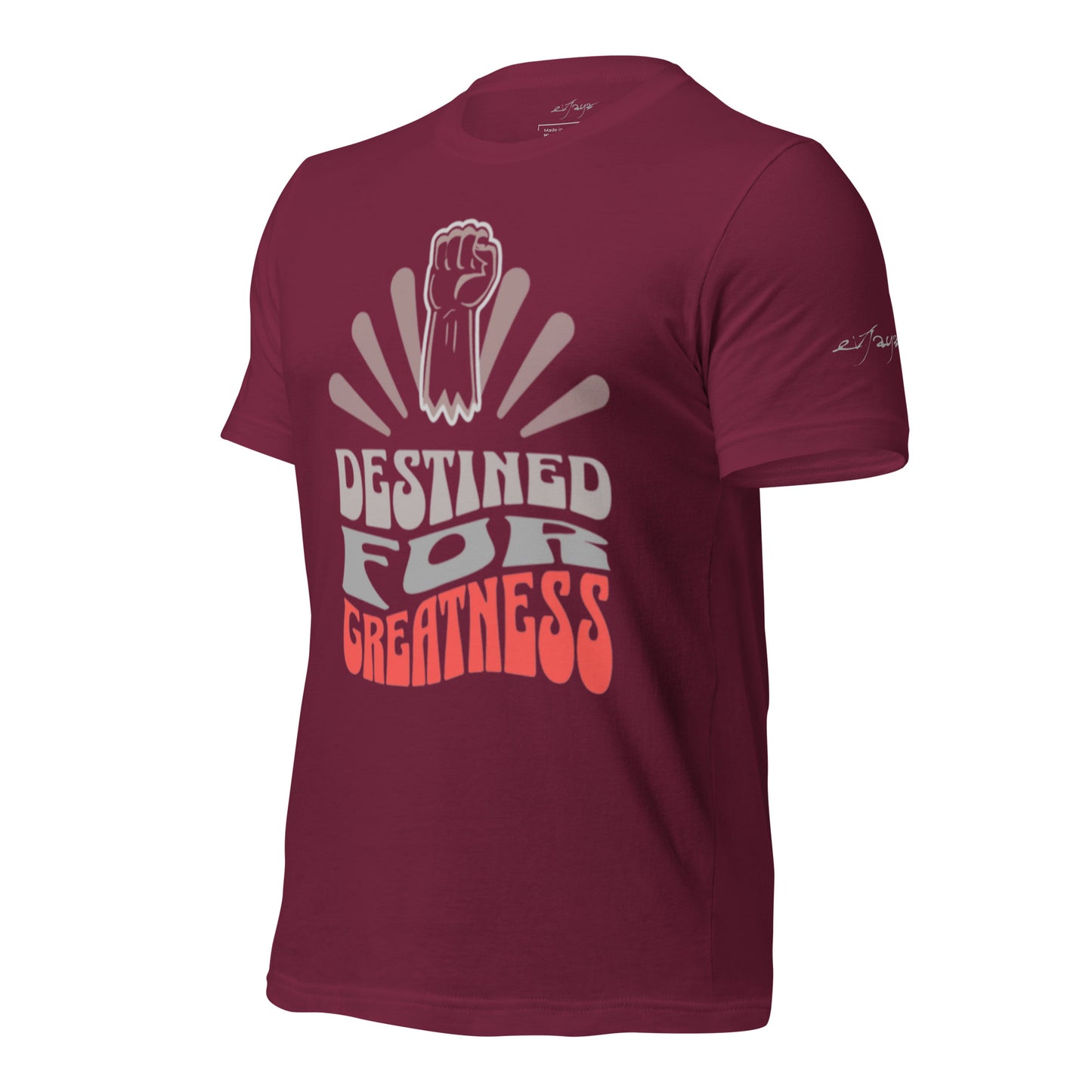 EvJayz Destined For Greatness Premium Unisex t-shirt