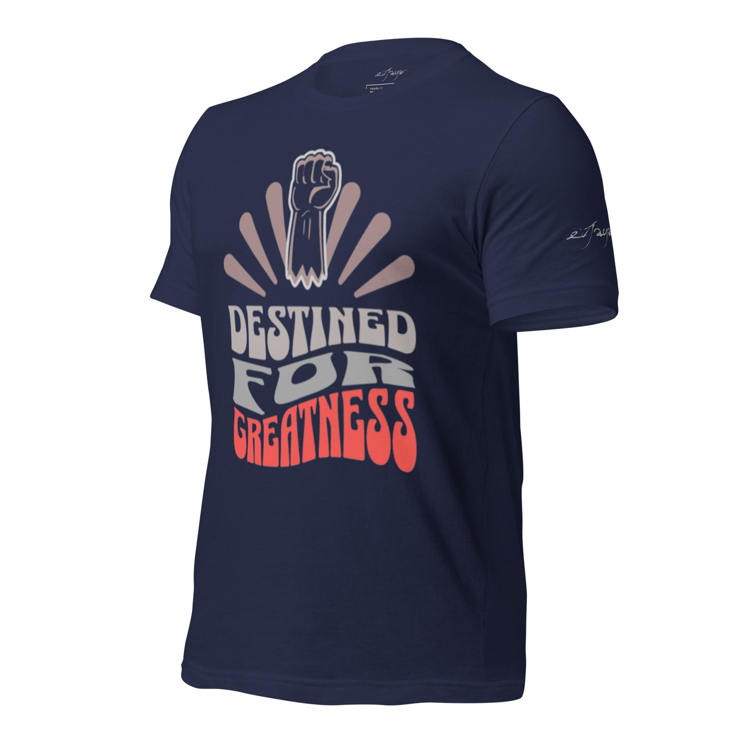 EvJayz Destined For Greatness Premium Unisex t-shirt