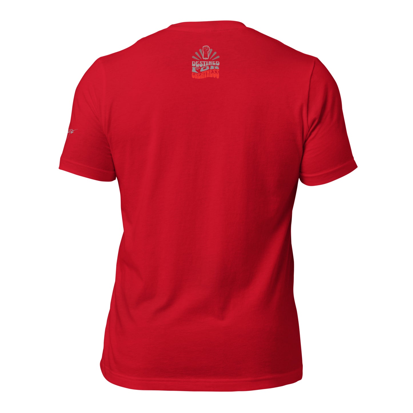 EvJayz Destined For Greatness Premium Unisex t-shirt