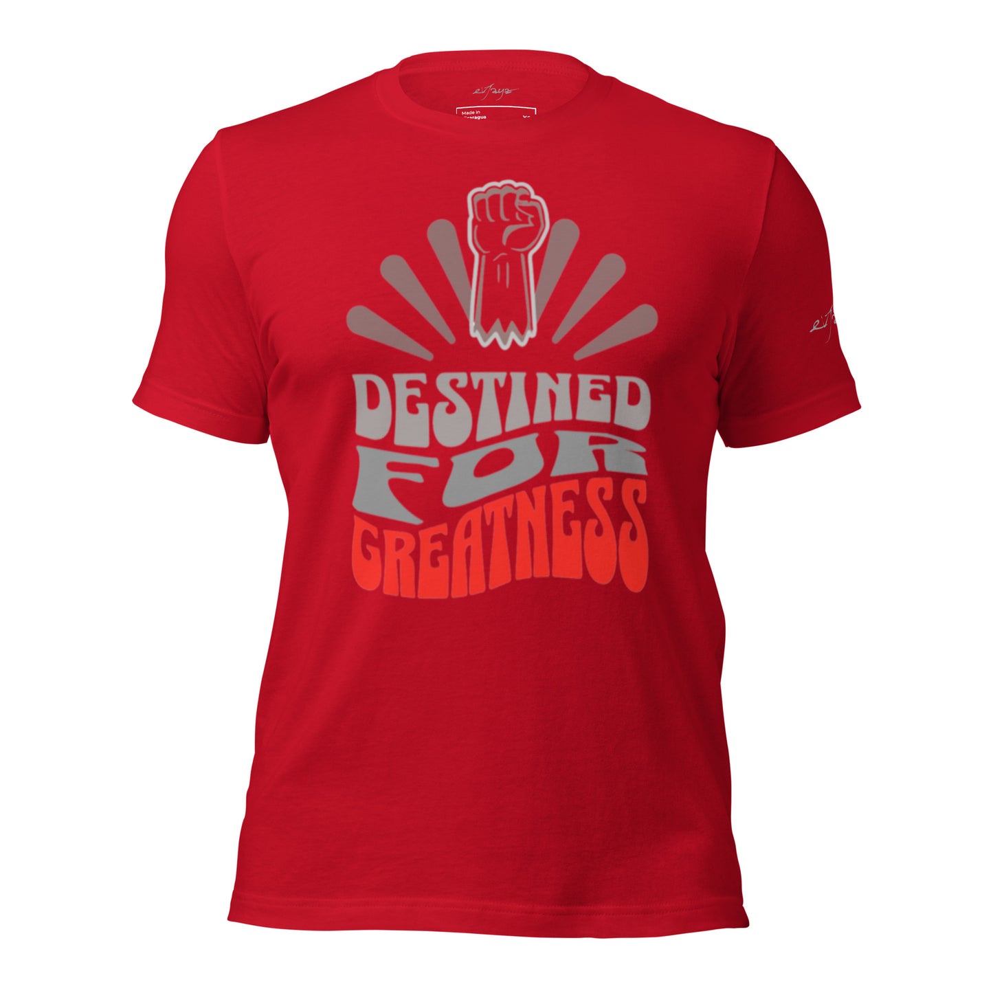 EvJayz Destined For Greatness Premium Unisex t-shirt