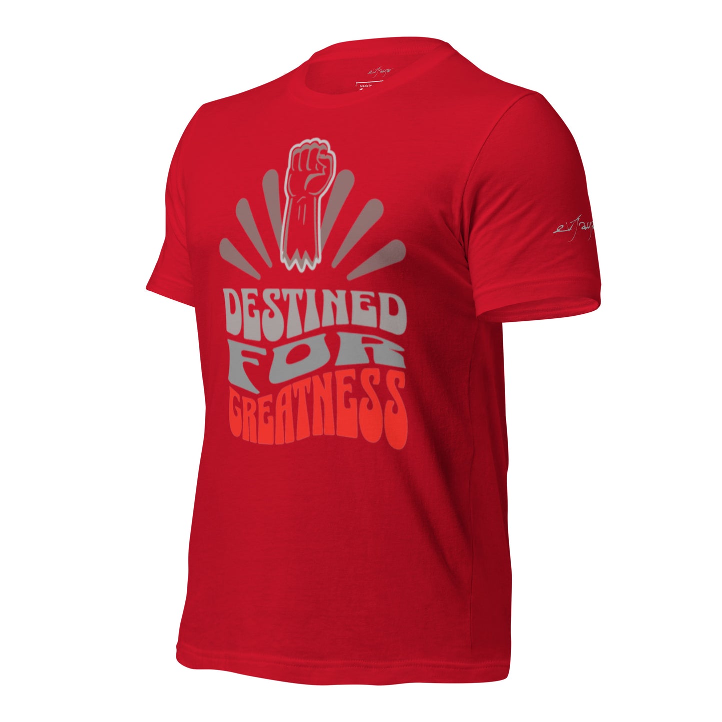 EvJayz Destined For Greatness Premium Unisex t-shirt