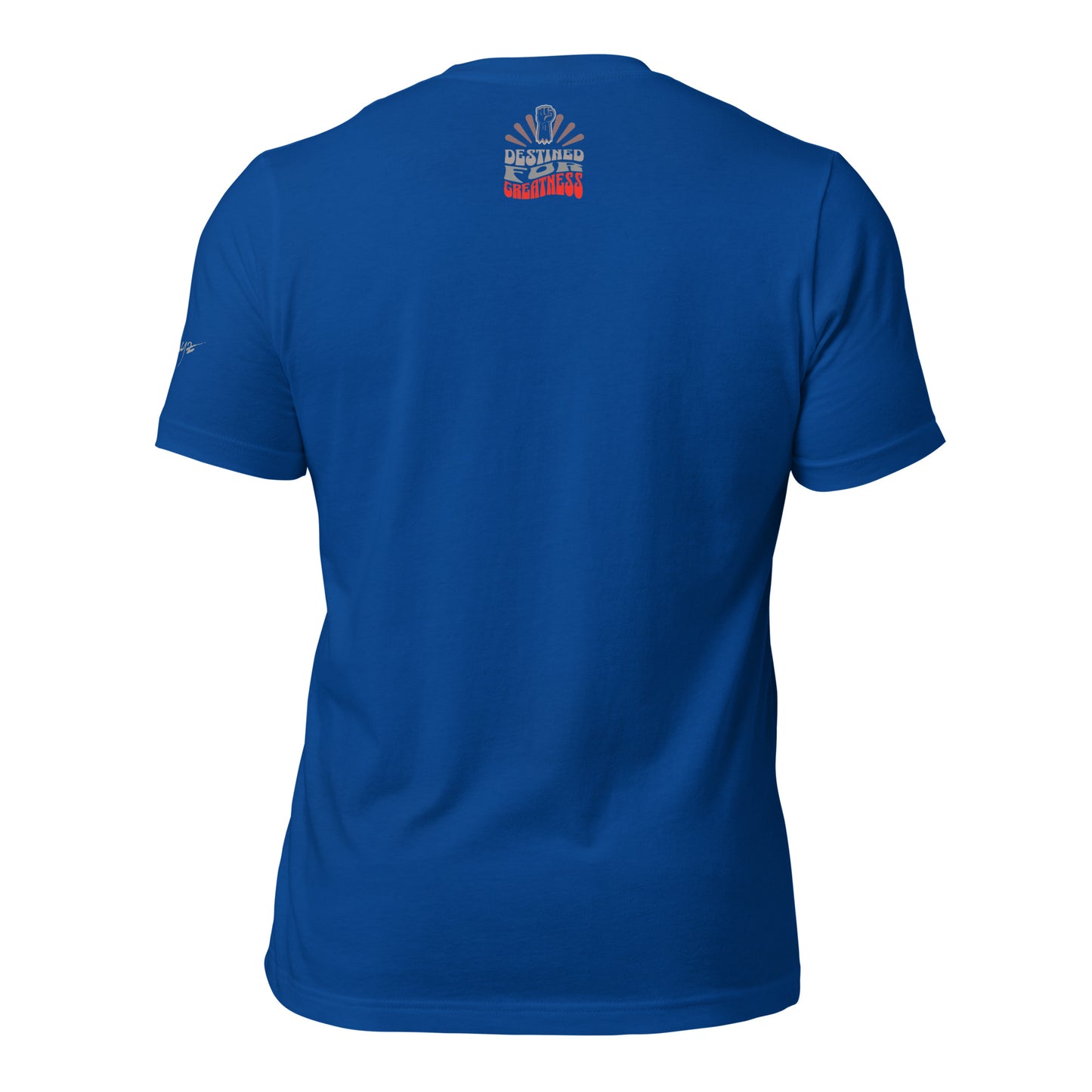 EvJayz Destined For Greatness Premium Unisex t-shirt